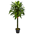 Nearly Natural 45"H Dracaena Artificial Plant, 45"H x 20"W x 20"D, Black/Green