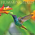 2026 Willow Creek Press Animals Monthly Wall Calendar, 12" x 12", Hummingbirds, January To December, 51528 1 thumbnail image
