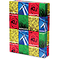 Mohawk Colored Multi-Use Print & Copy Paper, Ledger Size (11" x 17"), 94 (U.S.) Brightness, 32 Lb, Gloss White, Ream Of 500 Sheets