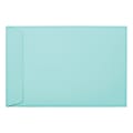 LUX #6 1/2 Open-End Envelopes, Peel & Press Closure, Seafoam, Pack Of 500 1 thumbnail image