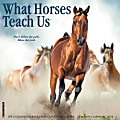 2024 Willow Creek Press Animals Monthly Wall Calendar, 12" x 12", What Horses Teach Us, January To December