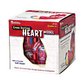Learning Resources® Human Heart Cross Section Model, 5 1/2" x 6", Grades 6 - 12