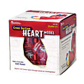 Learning Resources® Human Heart Cross Section Model, 5 1/2" x 6", Grades 6 - 12 1 thumbnail image