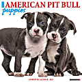 2025 Willow Creek Press Monthly Wall Calendar, 12" x 12", American Pit Bull Terrier Puppies, January 2025 to December 2025, 41352 1 thumbnail image