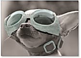 Viabella Birthday Greeting Card With Envelope, Dog With Goggles, 5" x 7" 1 thumbnail image