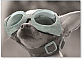 Viabella Birthday Greeting Card With Envelope, Dog With Goggles, 5" x 7"