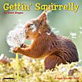Willow Creek Press Monthly Mini Wall Calendar, 7" x 7", Getting Squirrely, January To December 2022 1 thumbnail image