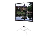 Da-Lite Carpeted Picture King with Keystone Eliminator - Projection screen with tripod - 120" (120.1 in) - 4:3 - Matte White, Silver Matte
