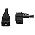 Tripp Lite 2ft Power Cord Extension Cable Right Angle C19 to C20 Heavy Duty 20A 12AWG 2' 1 thumbnail image