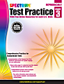 Spectrum Test Practice Workbook, Grade 3 1 thumbnail image