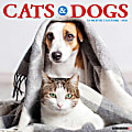 2026 Willow Creek Press Animals Monthly Wall Calendar, 12" x 12", Cats & Dogs, January To December, 50620 1 thumbnail image