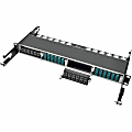 Eaton Tripp Lite Series 40Gb Pass-Through Cassette - (x12) 12-Fiber MTP/MPO ( Female ) - (x12) 12-Fiber MTP/MPO 1 thumbnail image