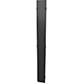 Vertiv Hinged Covers 800mm Wide 48U Vertical Cable Manager - Metal - Black - 48U Rack Height - 2 Pack - 31.5" Width