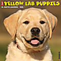2025 Willow Creek Press Monthly Wall Calendar, 12" x 12", Yellow Lab Puppies, January 2025 to December 2025, 45527 1 thumbnail image