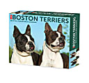 2024 Willow Creek Press Page-A-Day Daily Desk Calendar, 5" x 6", Boston Terriers, January To December