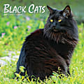 Brown Trout Animals Monthly Wall Calendar, 12" x 12", Black Cats, January To December 2023 1 thumbnail image