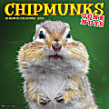 2024 Willow Creek Press Animals Monthly Wall Calendar, 12" x 12", Chipmunks (Gone Nuts!), January To December