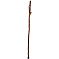 Brazos Walking Sticks™ Free Form Sassafras Walking Stick, 55" 1 thumbnail image