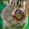 2026 Willow Creek Press Animals Monthly Wall Calendar, 12" x 12", Sloths, January To December, 52846 1 thumbnail image