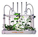 OPCOM Grow Box Hydroponic DFT System, 42" x 41-7/16", White 1 thumbnail image