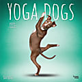 2025 BrownTrout Yoga Dogs OFFICIAL Monthly Plastic-Free Square Wall Calendar, 12" x 12", Dogs, January to December 2025, 9781975479879 1 thumbnail image