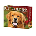 2025 Willow Creek Press Daily Desk Box Calendar, Animals, 5-1/2” x 6-1/4", Goldens, January To December, 40867