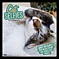 2024 BrownTrout Monthly Square Wall Calendar, 12" x 12", Cat Selfies, January to December