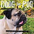 Willow Creek Press Animals Monthly Wall Calendar, 12" x 12", Doug the Pug, January to December 2022, 17814 1 thumbnail image