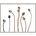Amanti Art Poppies by Lotte Gronkjar Wood Framed Wall Art Print, 41”W x 33”H, White 1 thumbnail image