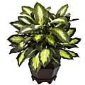 Nearly Natural 22"H Silk Triple Golden Dieffenbachia With Wood Vase, Green 1 thumbnail image