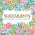 2025 Willow Creek Press Wall Calendar, 12” x 12”, Succulents, January 2025 To December 2025, 46616 1 thumbnail image
