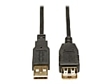 Siemens Tripp Lite U024-010 Gold USB 2.0 Extension Cable, 10', Black