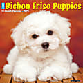 2025 Willow Creek Press Monthly Wall Calendar, 12" x 12", Bichon Frise Puppies, January 2025 to December 2025, 41734 1 thumbnail image