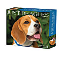 2024 Willow Creek Press Page-A-Day Daily Desk Calendar, 5" x 6", Beagles, January To December