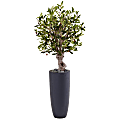 Nearly Natural Olive 42”H Artificial Tree With Cylinder Planter, 42”H x 20”W x 20”D, Green