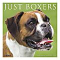 Willow Creek Press Animals Monthly Wall Calendar, 12" x 12", Boxers, January To December 2020 1 thumbnail image