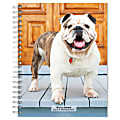 2023-2024 BrownTrout 16-Month Weekly/Monthly Engagement Planner, 7-3/4" x 7-3/16", Bulldogs, September To December