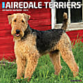 2024 Willow Creek Press Animals Monthly Wall Calendar, 12" x 12", Just Airedale Terriers, January To December