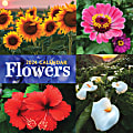 2024 TF Publishing Scenic Wall Calendar, 12" x 12", Flowers, January To December