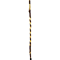 Brazos Walking Sticks™ Twisted Hawthorn Walking Stick, 55"