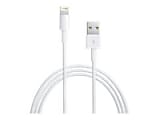 4XEM - Lightning cable - USB male to Lightning male - 15 ft - white 1 thumbnail image