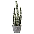 Nearly Natural Cactus 27-1/2”H Plastic Plant Decorative Garden With Cement Planter. 27-1/2”H x 8-1/2”W x 8”D, Green 1 thumbnail image