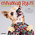 Willow Creek Press Monthly Mini Wall Calendar, 7" x 7", Chihuahua Rules, January To December 2022 1 thumbnail image