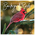 TF Publishing Animal Wall Calendar, 12" x 12", Backyard Birds, January To December 2022 1 thumbnail image