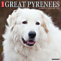 Willow Creek Press Animals Monthly Wall Calendar, 12" x 12", Just Great Pyrenees, January to December 2022, 18194 1 thumbnail image