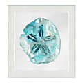 Timeless Frames® Coastal Wall Art, 10" x 10", Aqua Sand Dollar 1 thumbnail image