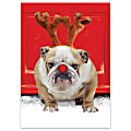 Personalized Holiday Cards, Ecstatic, 5 5/8" x 7 7/8", Box Of 25