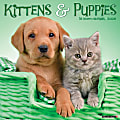 2026 Willow Creek Press Animals Monthly Wall Calendar, 12" x 12", Kittens & Puppies, January To December, 51702 1 thumbnail image