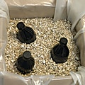 Office Depot® Brand Vermiculite Packing Material, 4A Extra Coarse, Tan, 4 Cu Ft 1 thumbnail image