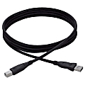 Accell Premium USB Cable - Type A Male USB - Type B Male USB - 16ft